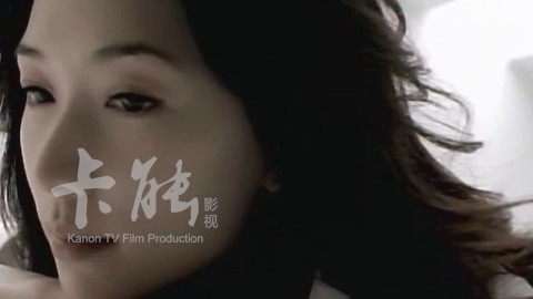 HCG智慧型超級(jí)馬桶  林志玲篇